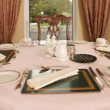 Bed & Breakfast The Castle Country House B&B Thurles